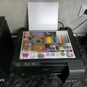 Epson 4 renk