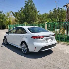 Toyota Corolla 2021