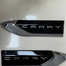 Camry znacok krylo gapy