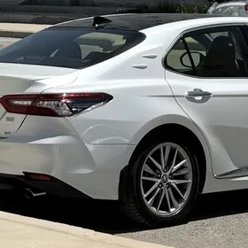 Camry źabra CAMRY JABRA