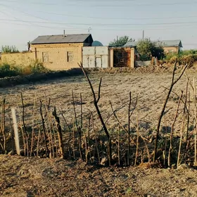 Айрапорт дача