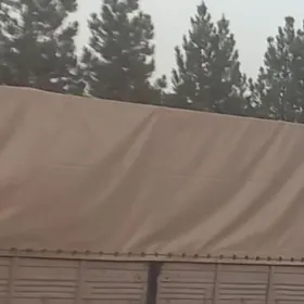 tent
