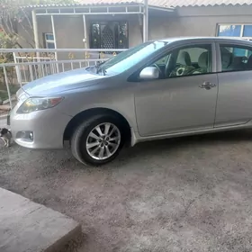 Toyota Corolla 2010