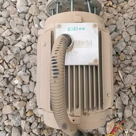 elekto motor