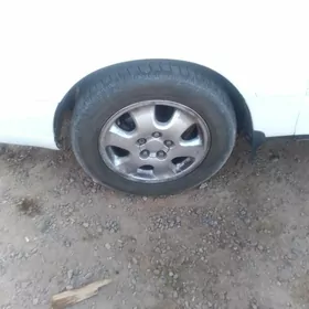 16 lik disga pakeysga bilen