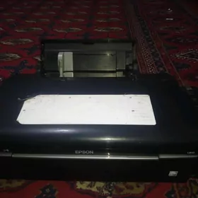 epson L800