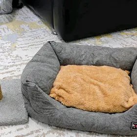 для котов