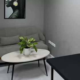 arenda 30mkr Ostrowski