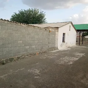 Bereket etr