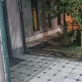 eyesinden kotež