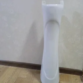 rakawina ayagy