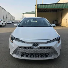 Toyota Corolla 2020