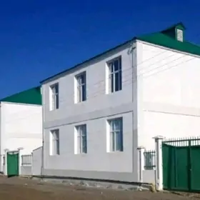 Kotej 8 sotuh bergisiz