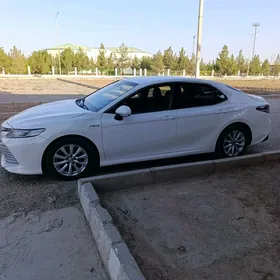 Toyota Camry 2020