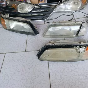 fara Maxima Cefira