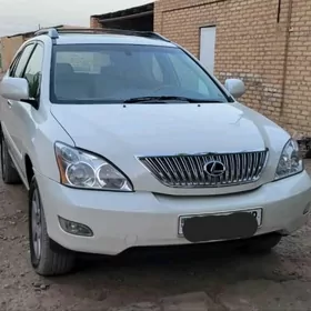 Lexus RX 330 2004