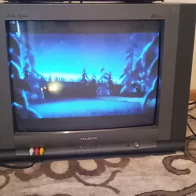 Telewizor