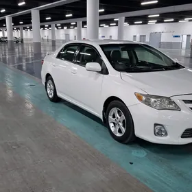 Toyota Corolla 2011