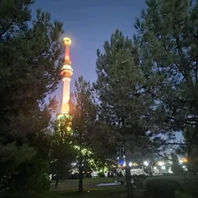 işgar alyan