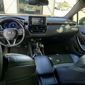 Toyota Corolla 2019