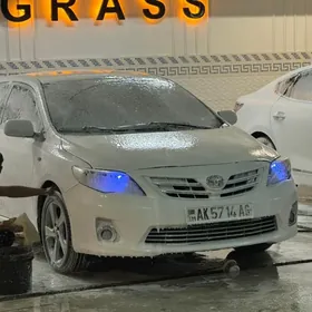 Toyota Corolla 2011