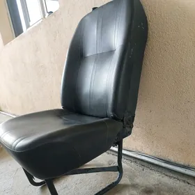 koja sdenya