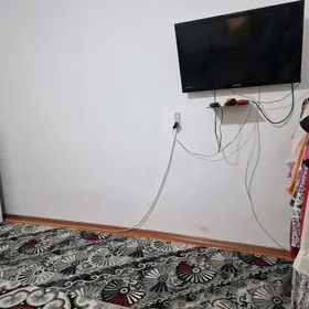 Coganly gayy koce