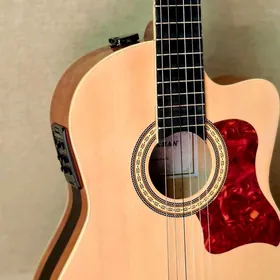 Gitara (FREEMAN)