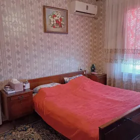 Гаудан В