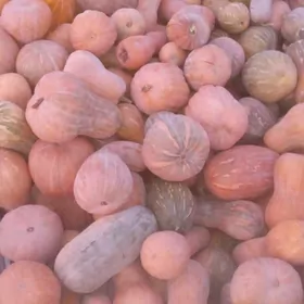 kâdi