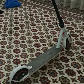 Mi tokly samakat