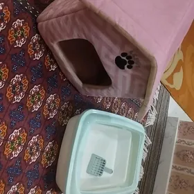 дом для котов