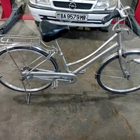 Yaponski 26