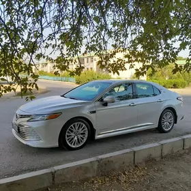 Toyota Camry 2019
