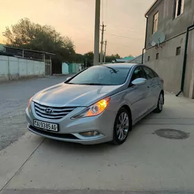 Hyundai Sonata 2010