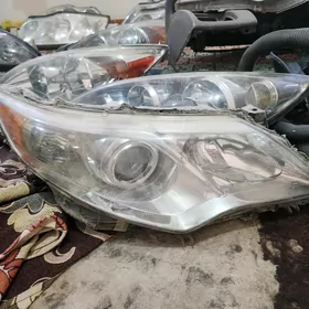 palta camry cyra