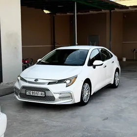 Toyota Corolla 2020