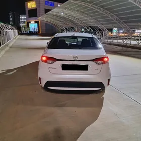 Toyota Corolla 2020
