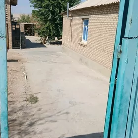 Anew satlyk Pylan jay 8 sotak