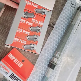 yamaha lotk zapcast