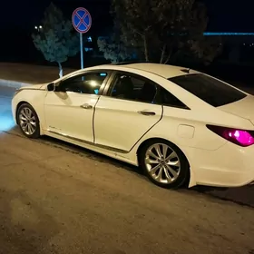 Hyundai Sonata 2010