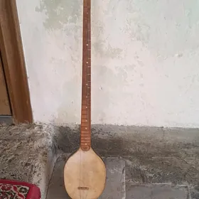 Plektra Dutar (Tar)