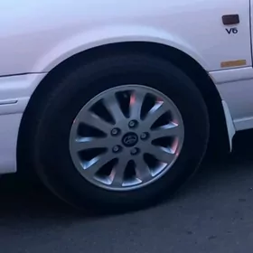 Broşga diska R 15