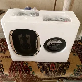 Pioneer 650 W