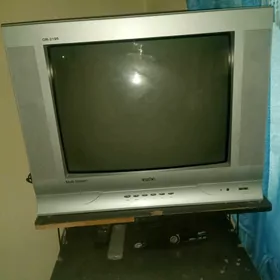 Televizor