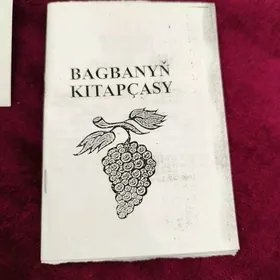 дача