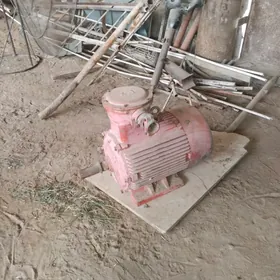 Elektro generator dwigatel