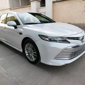 Toyota Camry 2020