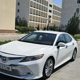 Toyota Camry 2020