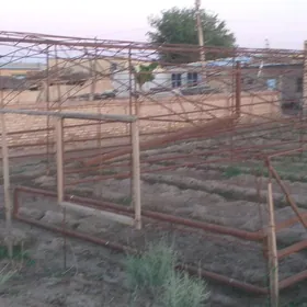 Teplitsa